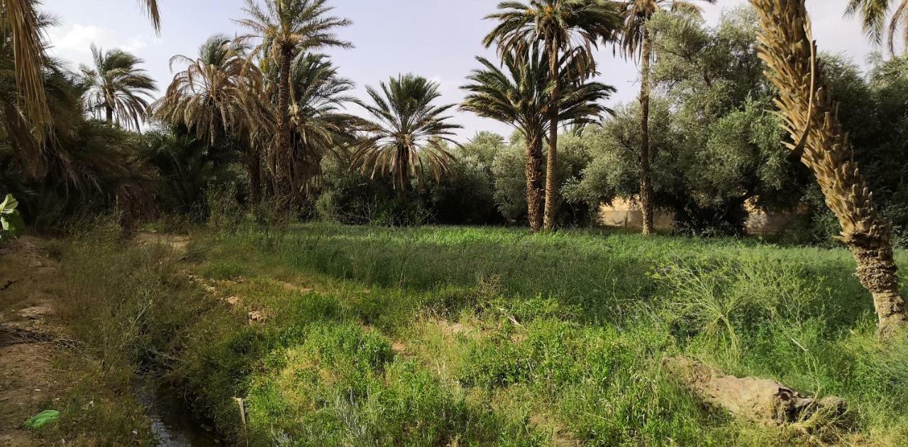Maison Zouala Bagian luar foto